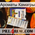 Ароматы Камагры 11